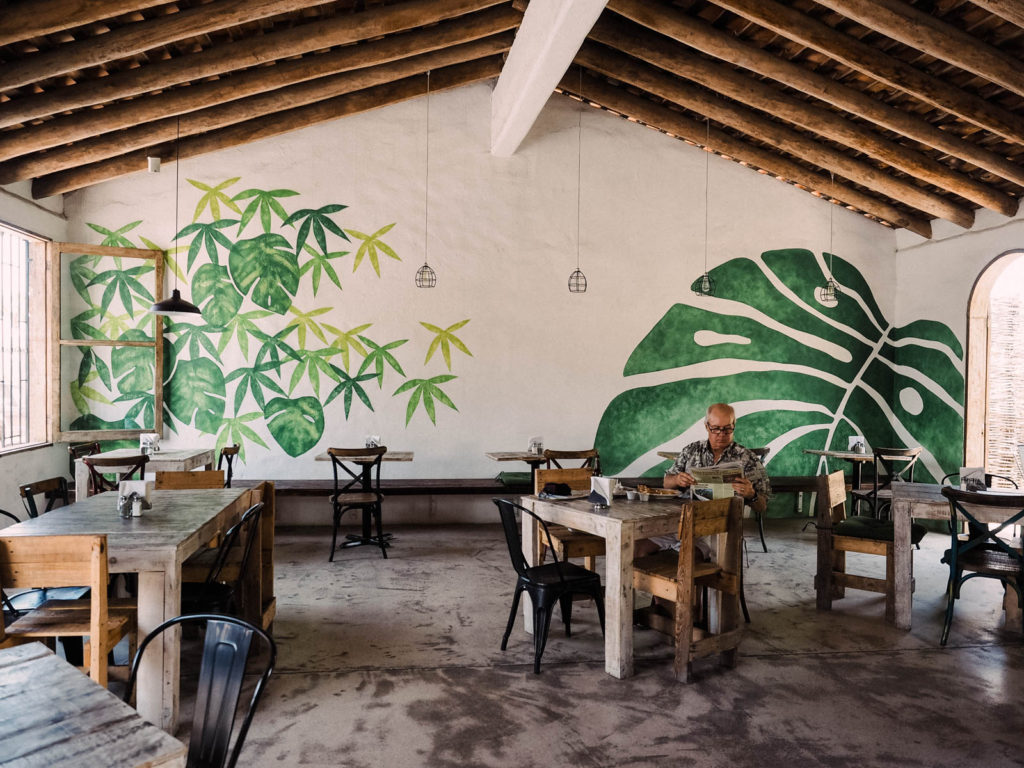 Interior design in Todos Santos cafe