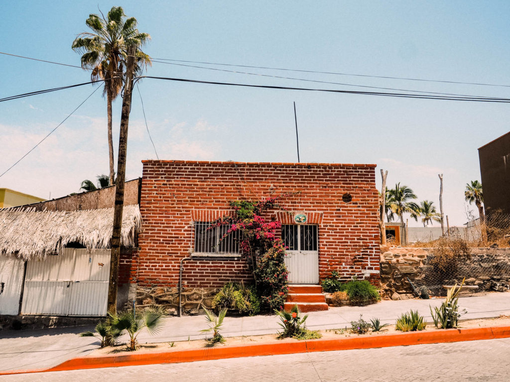 Day trip from Cabo to Todos Santos