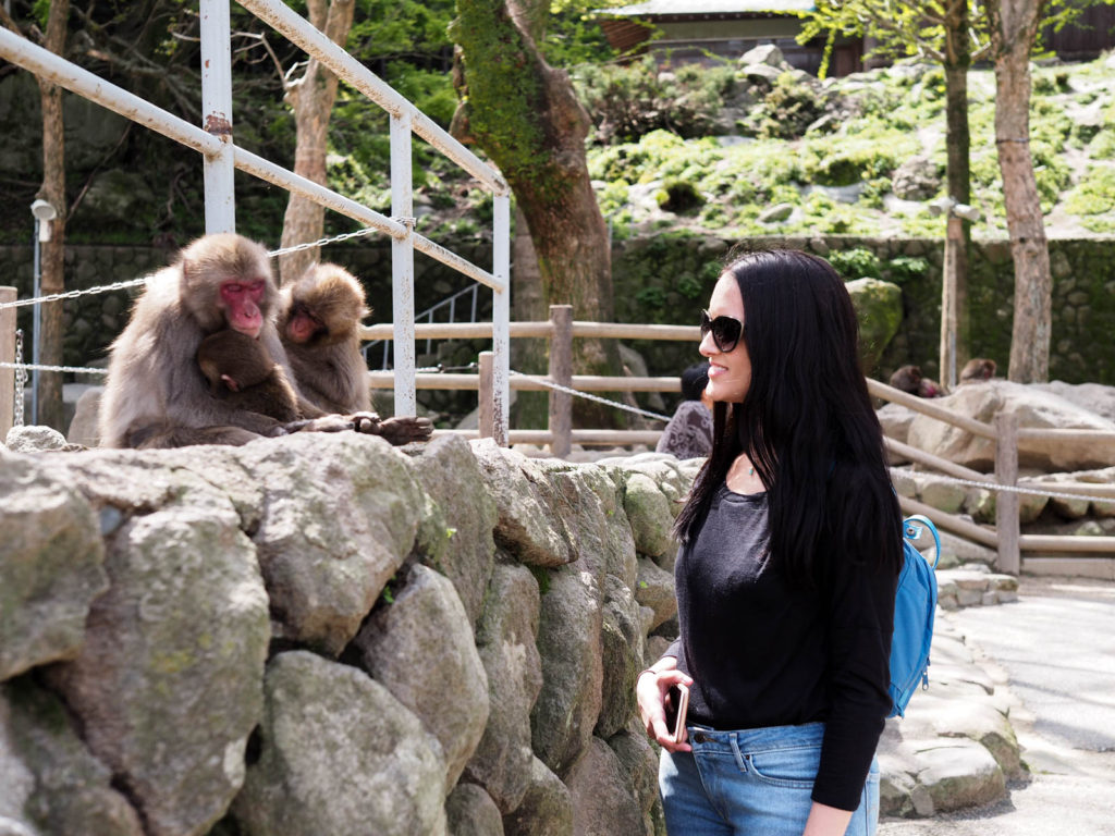 Monkey Park in Beppu