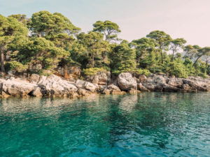 Lokrum Island Beaches