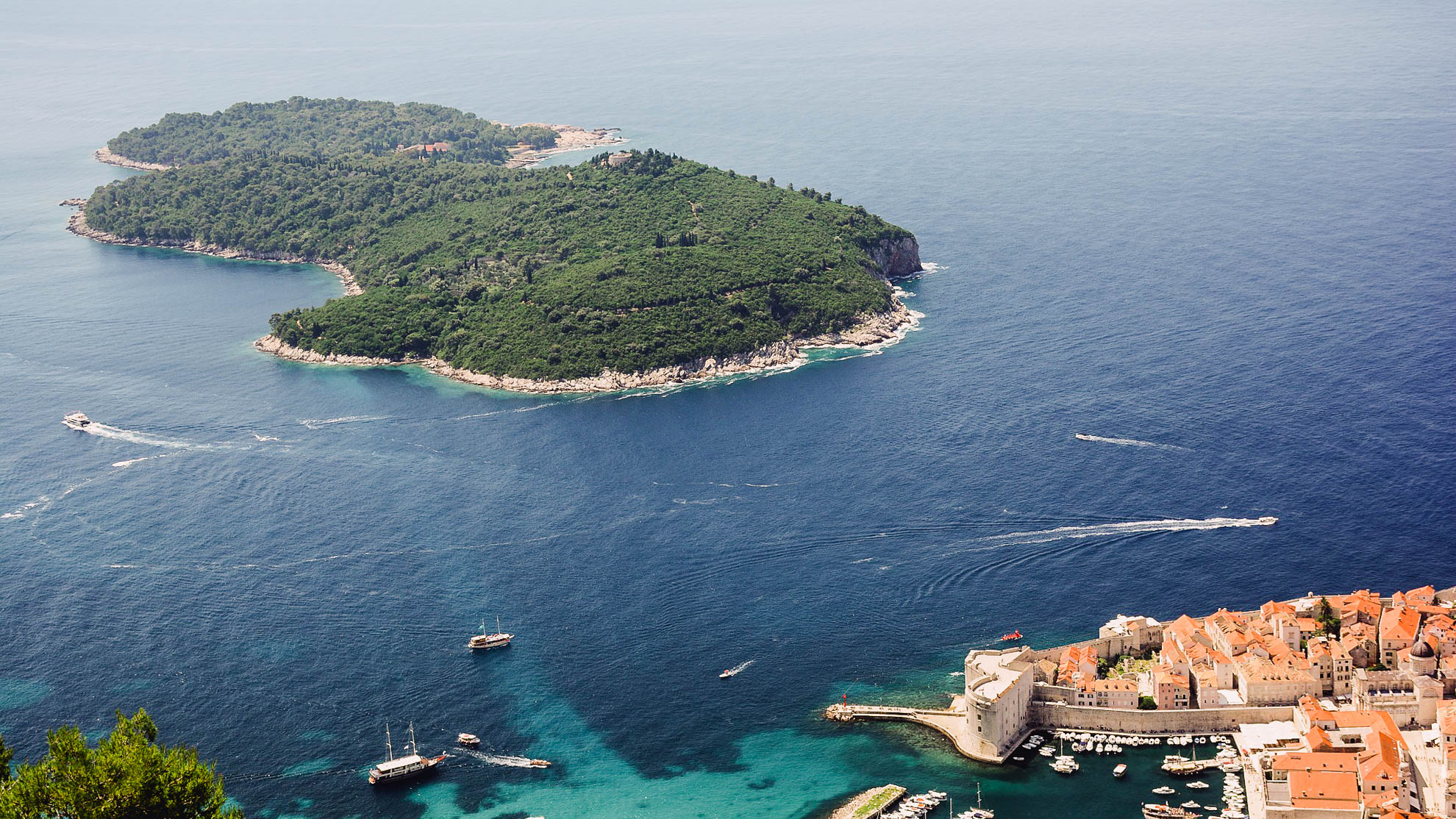 Take the Dubrovnik ferry to Lokrum Island