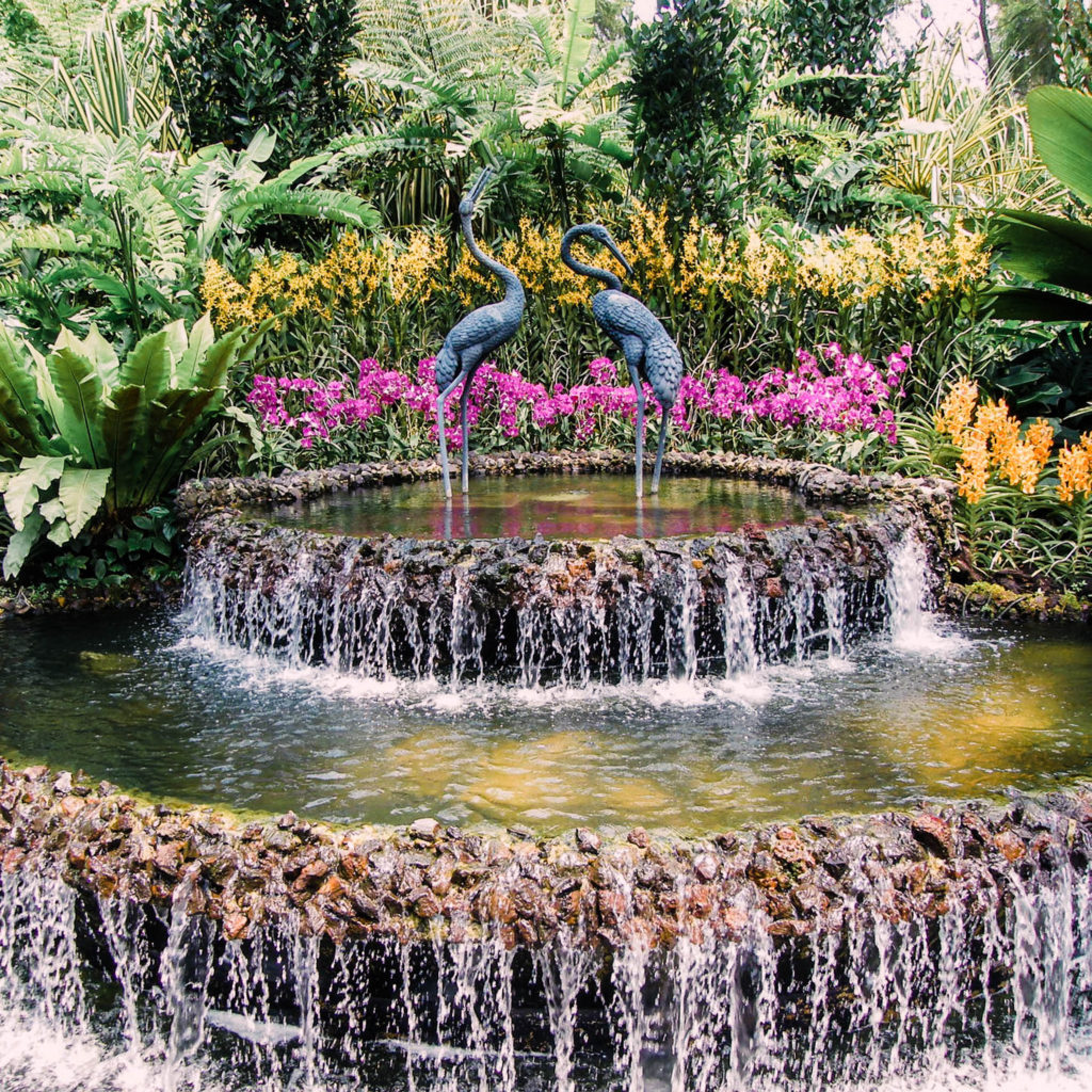 Instagram-worthy places in Singapore: National Orchid Garden