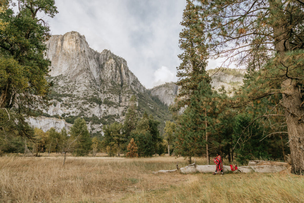 co robić w Parku Narodowym Yosemite