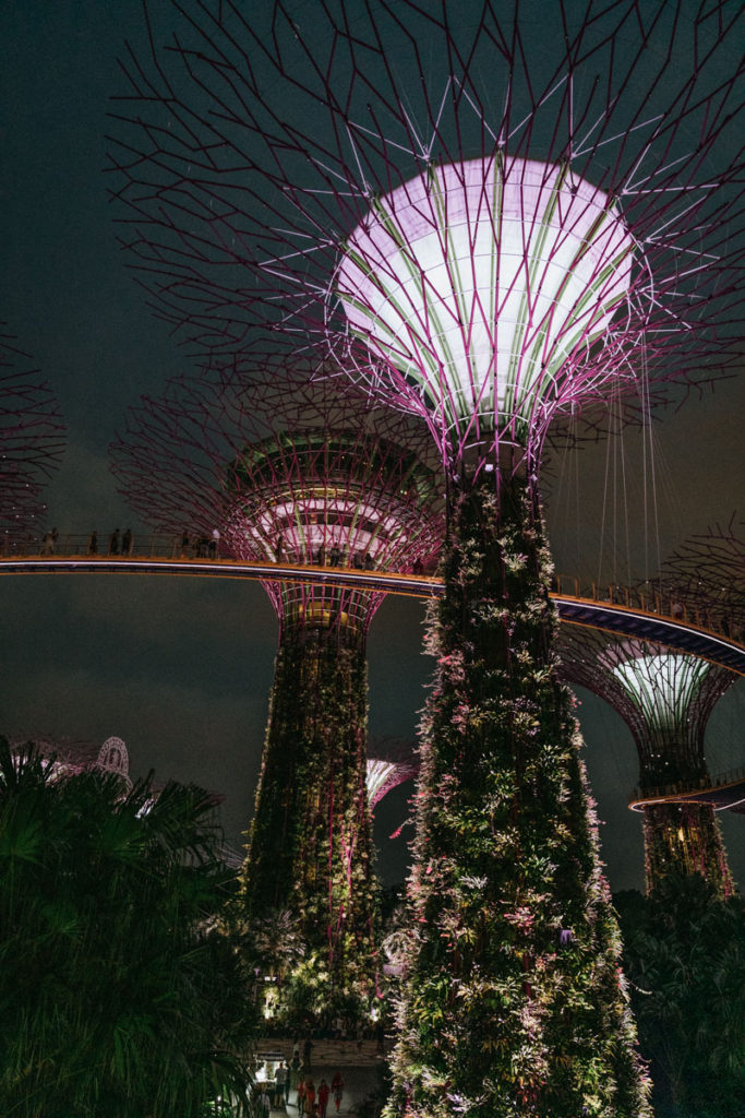 Light show at night at Gardens by the Bay in Singapore