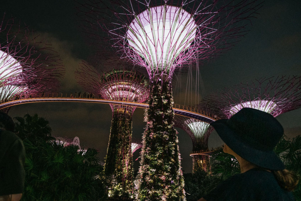 Light Show at Gardens by the Bay in Singapore