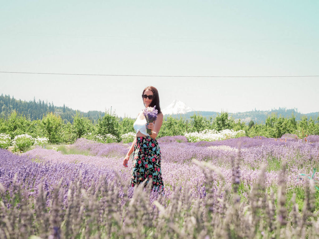 Posing in the purple fields at Hood River Lavender Farms