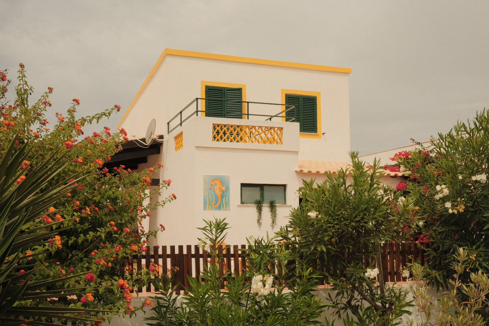 Beautiful vacation homes in Ilha do Farol near Faro, Portugal