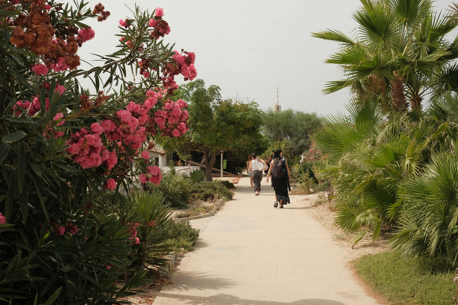 Walking path to the beach in Ilha do Farol, Algarve, Portugal